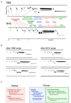 Mechanisms of Cultural Evolution in the Songs of Wild Bird Populations